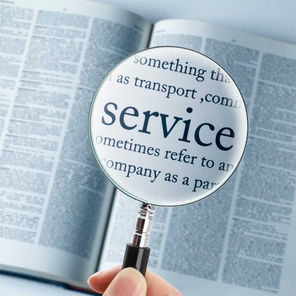 Microsoft Dynamics 365 servis